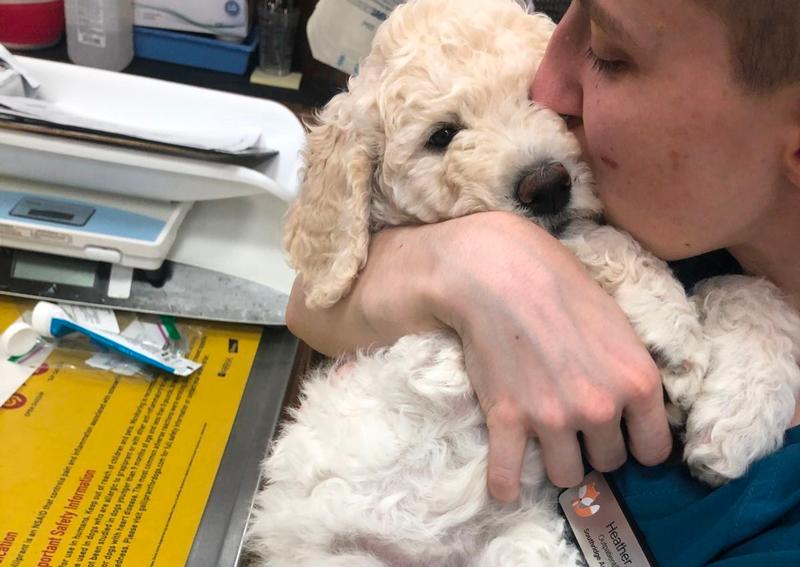 Southridge Animal Hospital Denton Veterinarians